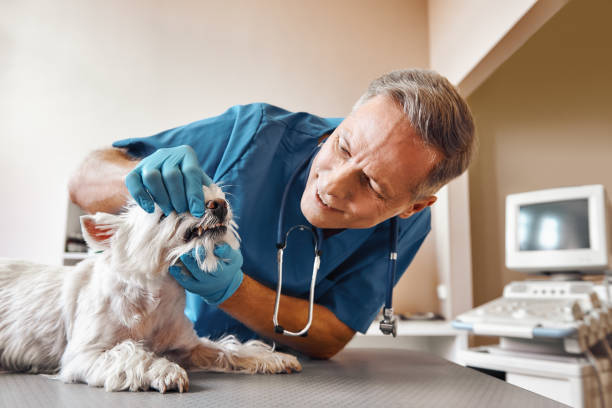Best Emergency Dental Extractions in Kirbyville, TX